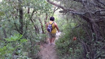 Descens del turó de Sant Miquel pel corriol